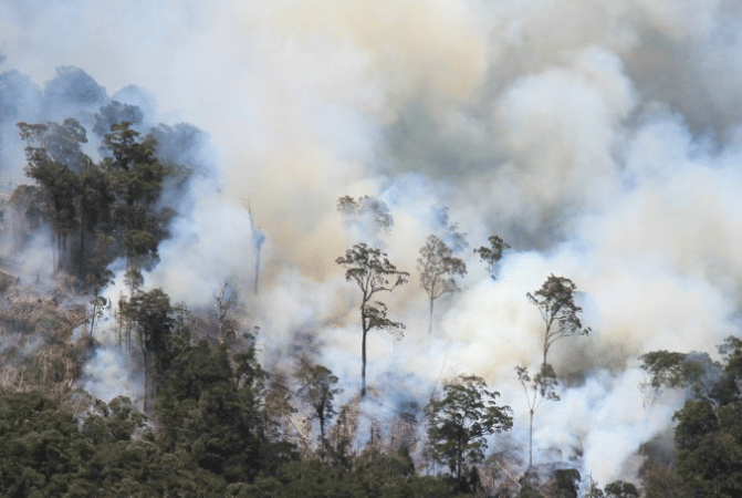 (Ilustrasi) ANTARA FOTO/Syifa Yulinnas