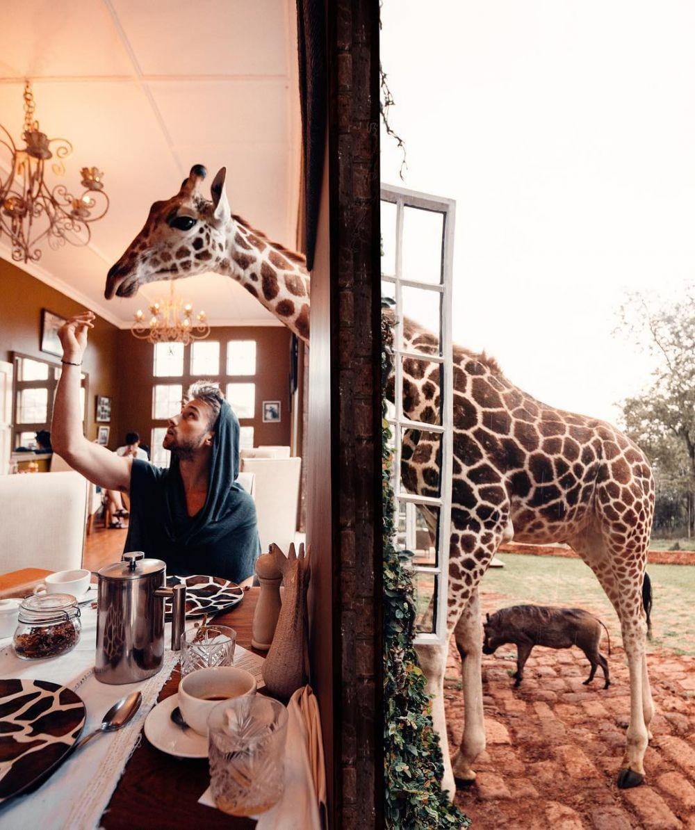 instagram.com/samkolder