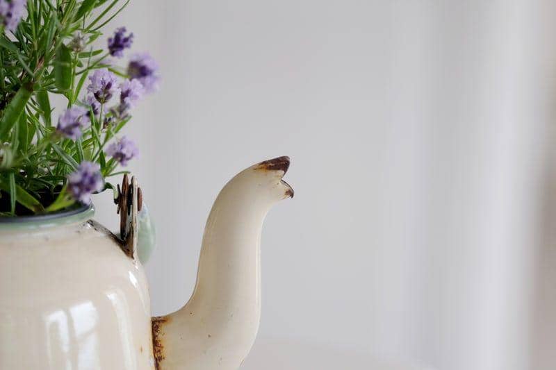 Unsplash.com/Steinar Engeland