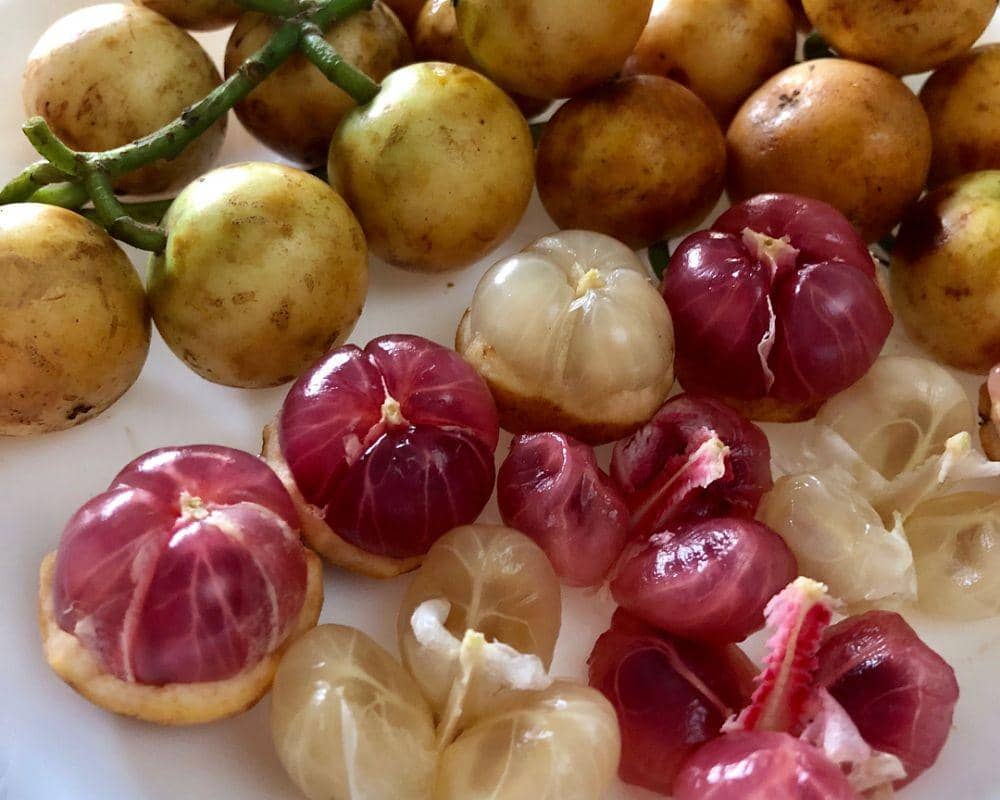 instagram.com/kamilah.zahrah