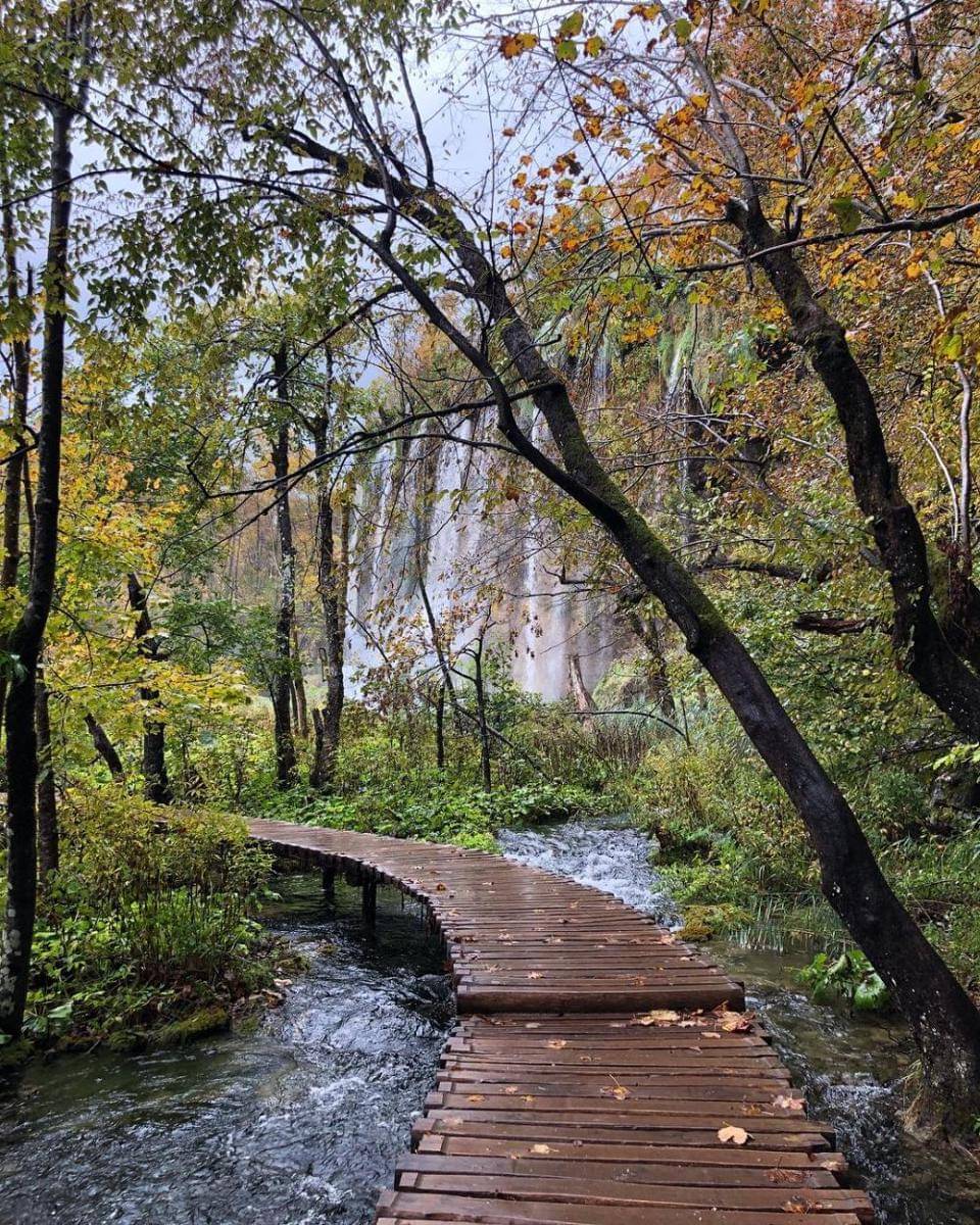 instagram.com/damntheresa/