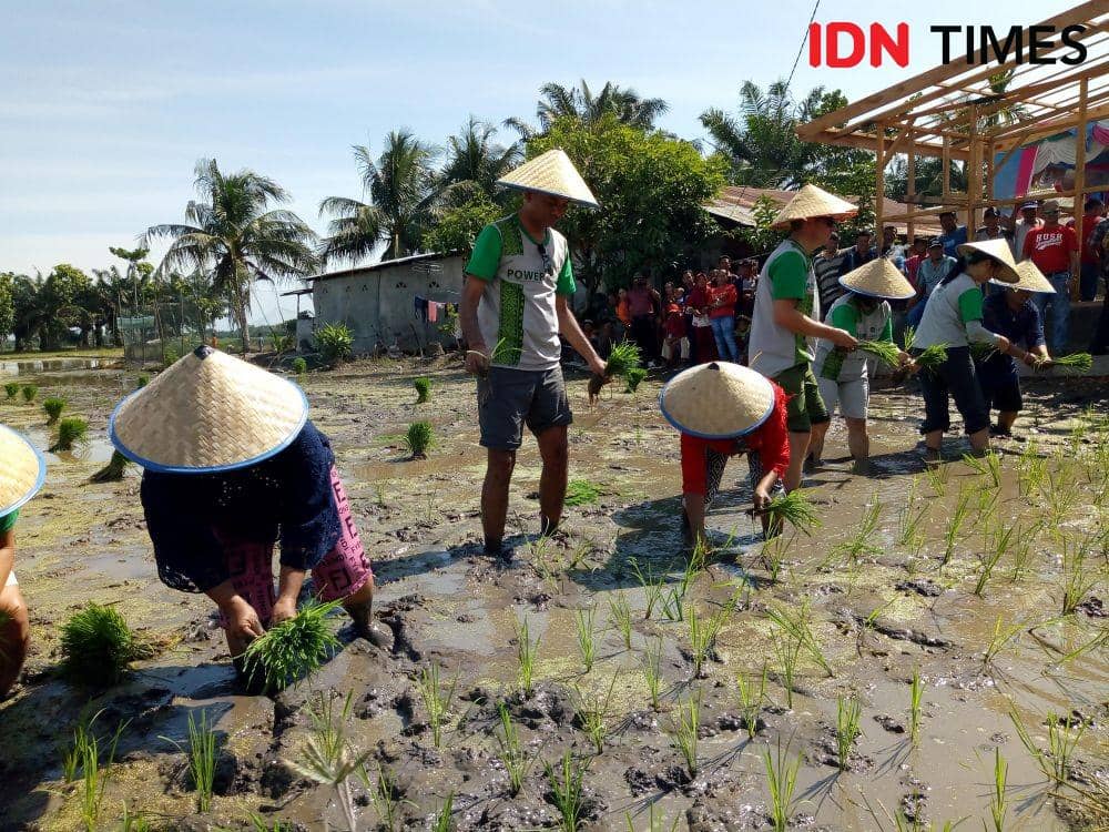 IDN Times/Arifin Al Alamudi