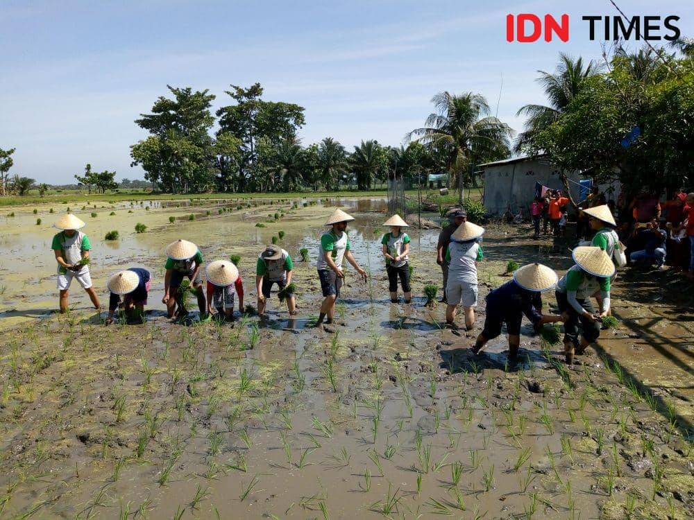 IDN Times/Arifin Al Alamudi