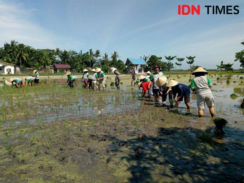 IDN Times/Arifin Al Alamudi