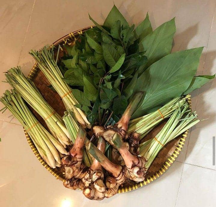 instagram.com/dapurlynnalkhaired