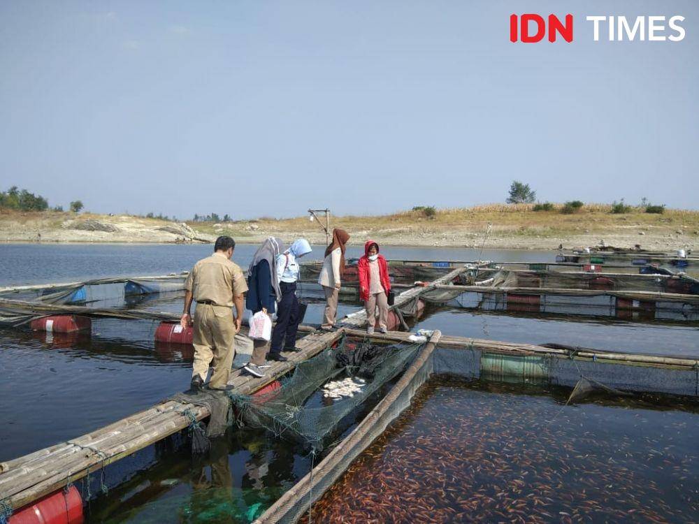 IDN Times/Istimewa