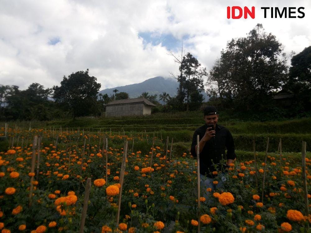 IDN Times/Irma Yudistirani