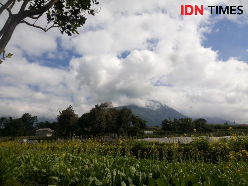 IDN Times/Irma Yudistirani