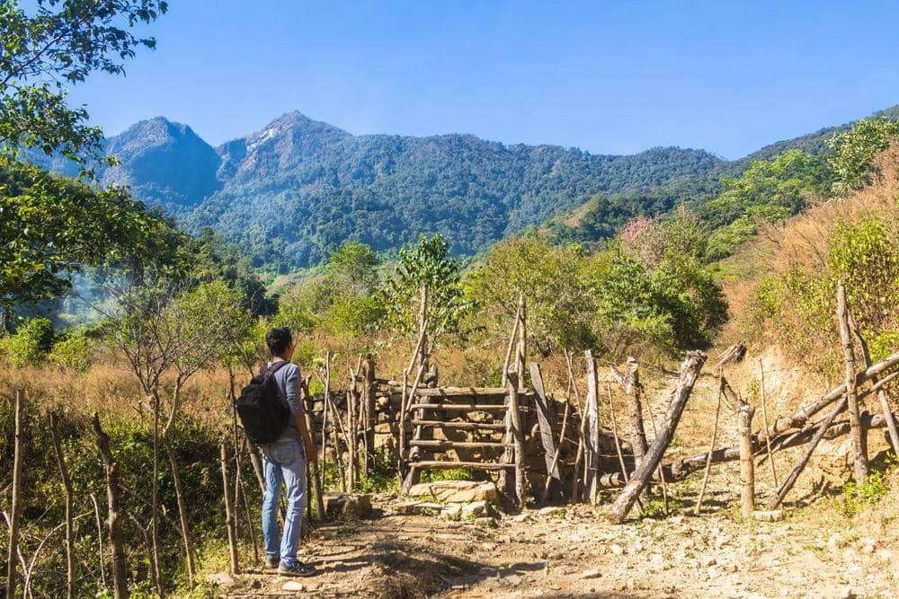 twobirdsbreakingfree.com