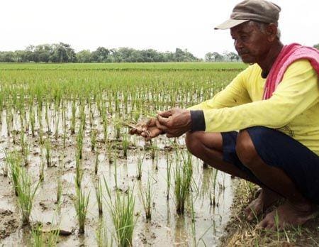 IDN Times/Andra Adyatama