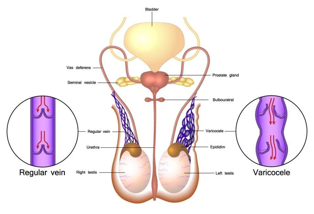 northwestradiology.com