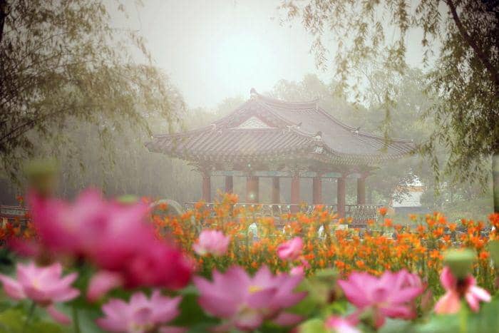 english.visitkorea.or.kr