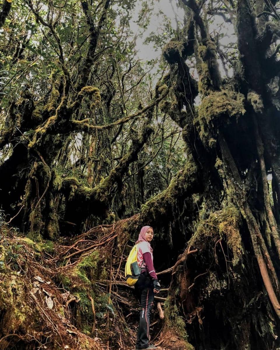 instagram.com/hamizaaaaaaa