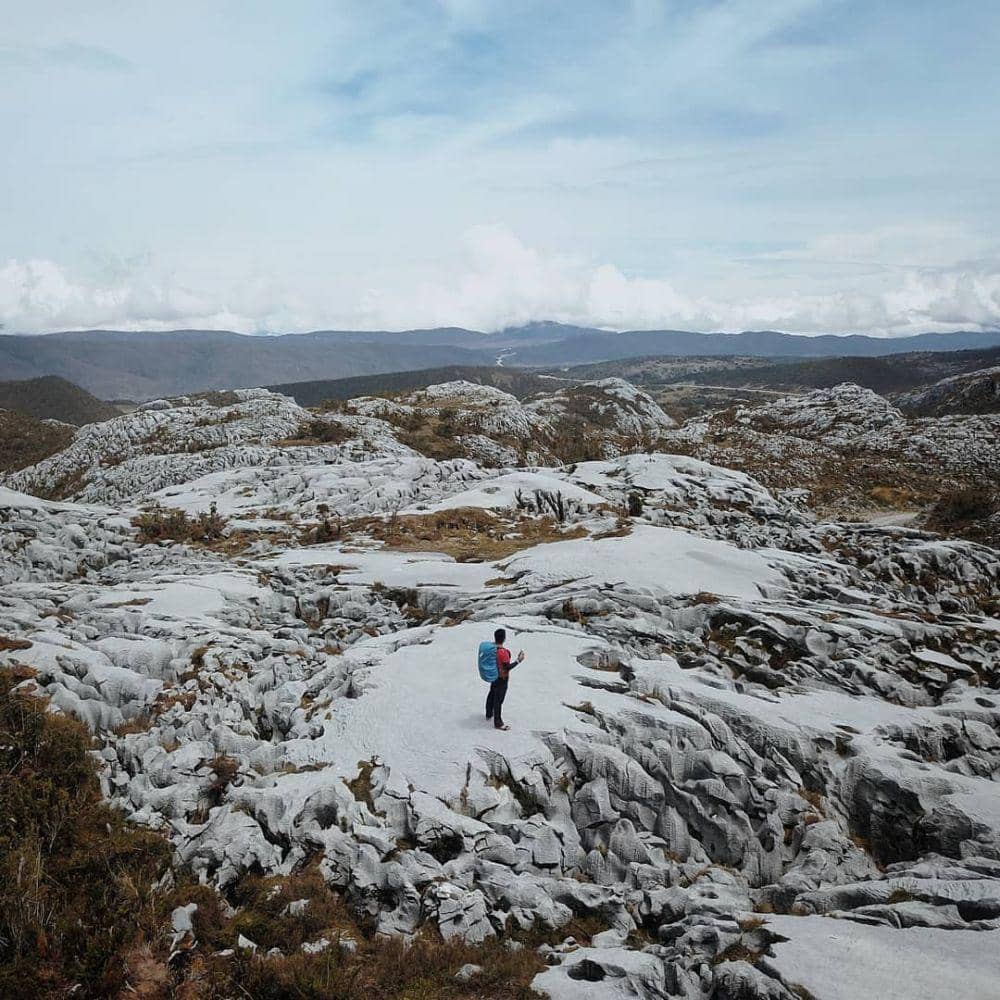 instagram.com/_aaaallll