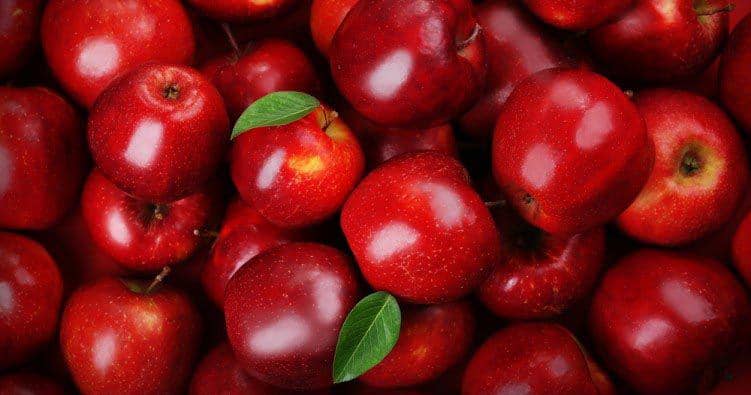 thebestofhealth.co.uk