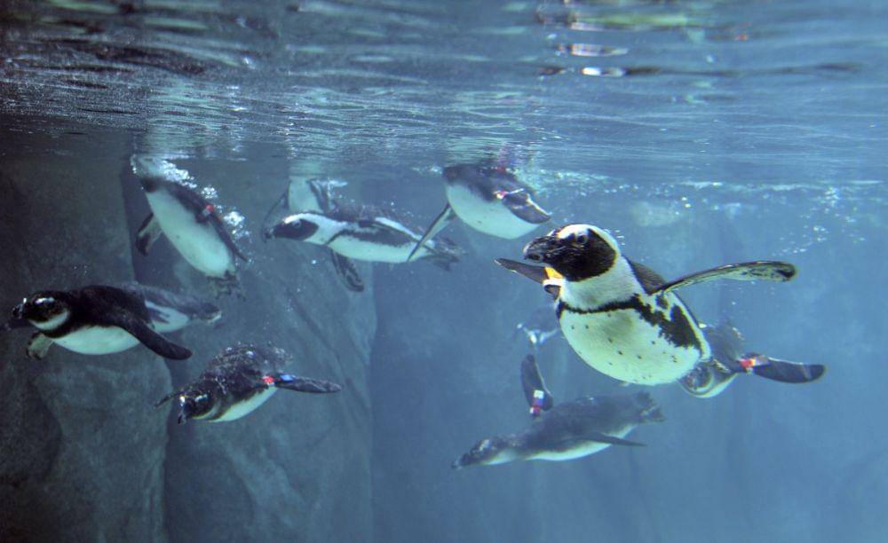 darkroom.baltimoresun.com