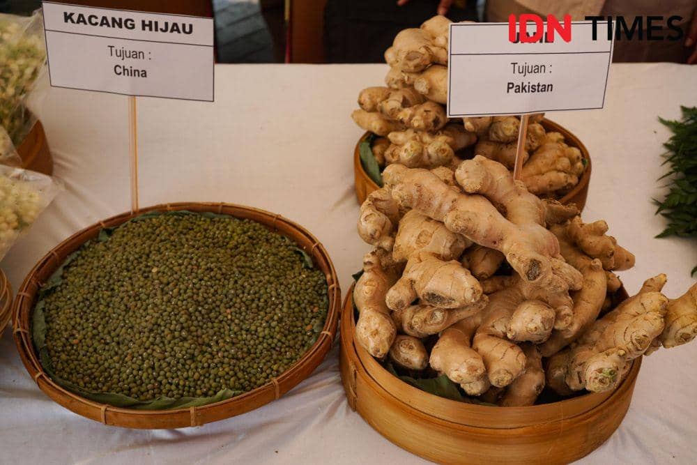 IDN Times/Dhana Kencana