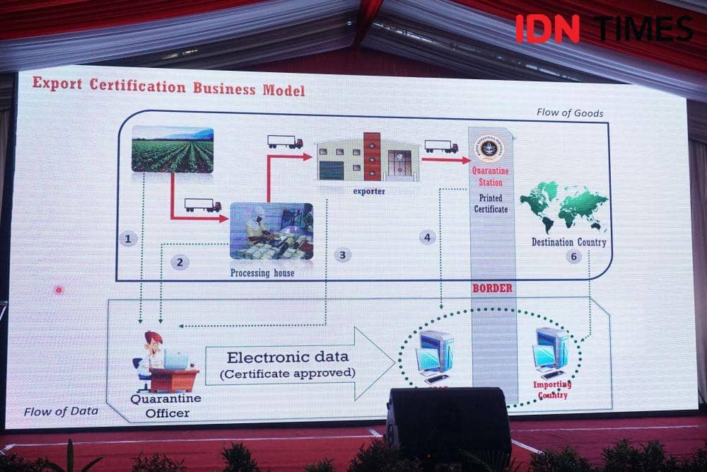 IDN Times/Dhana Kencana