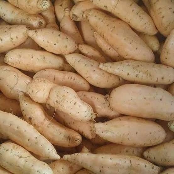 m.tokopedia.com/CV. PUCIMA