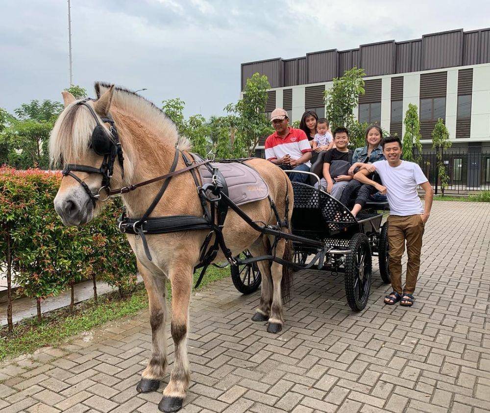 instagram.com/vincentraditya