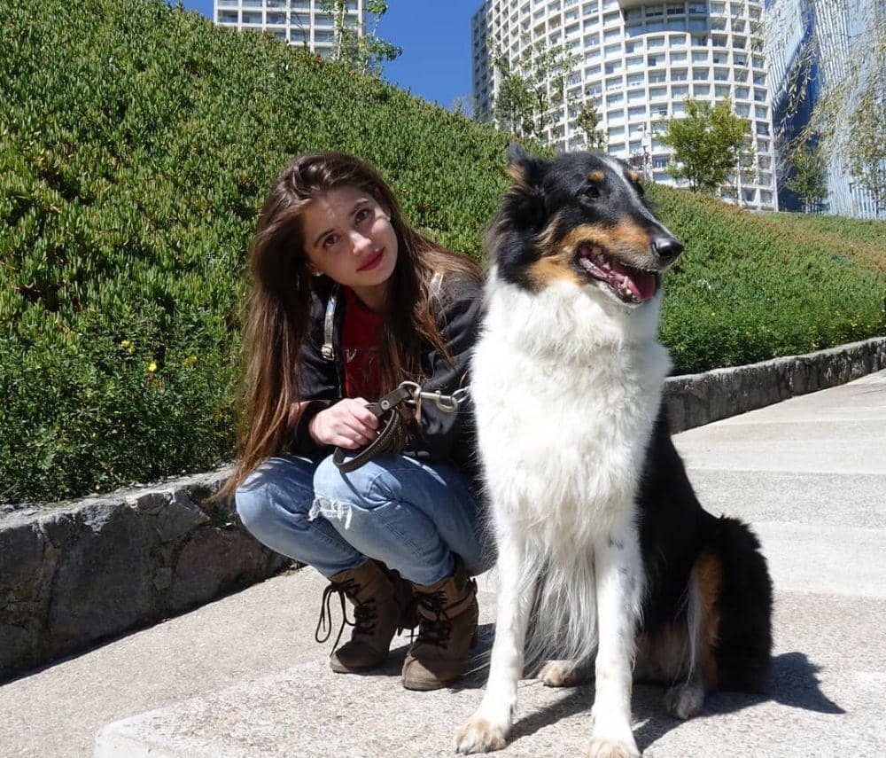 instagram.com/danaedo