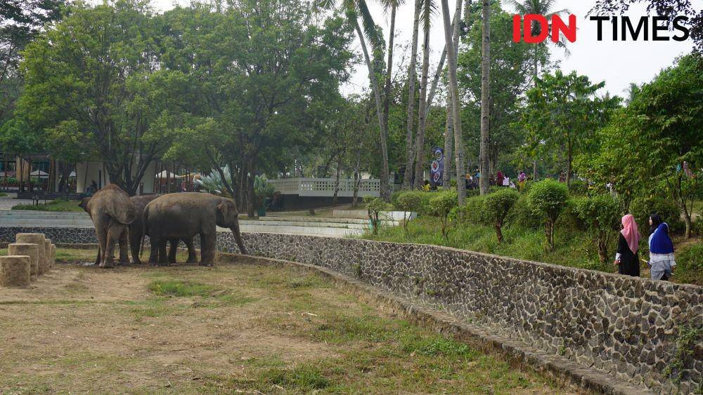 IDN Times/Nindias Khalika