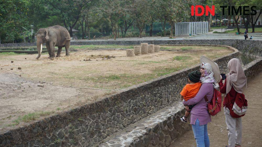 IDN Times/Nindias Khalika