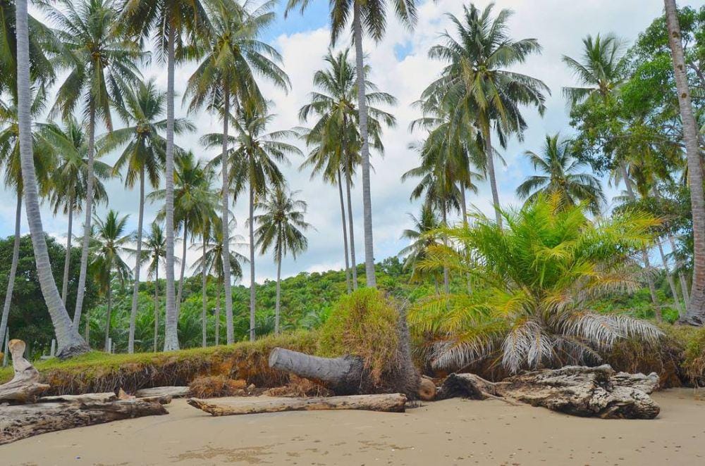 instagram.com/fisena_hard