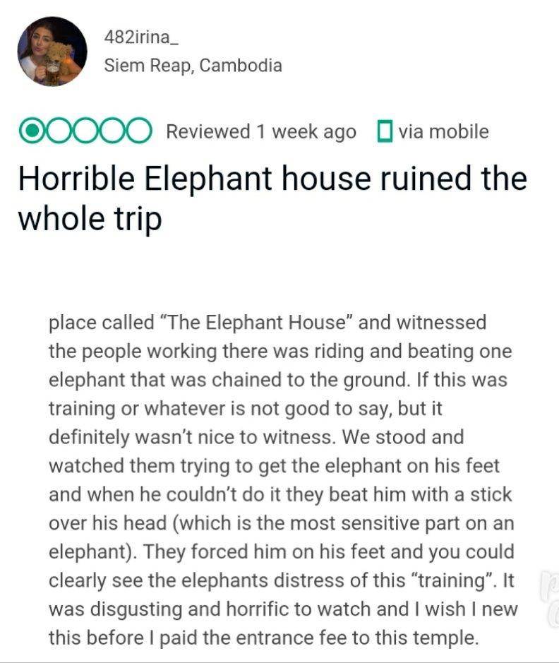 Tripadvisor