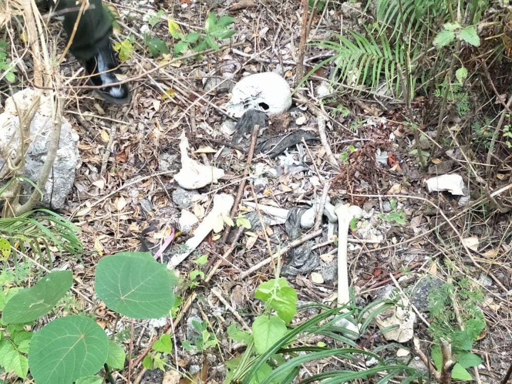 Dok.IDN Times/Istimewa