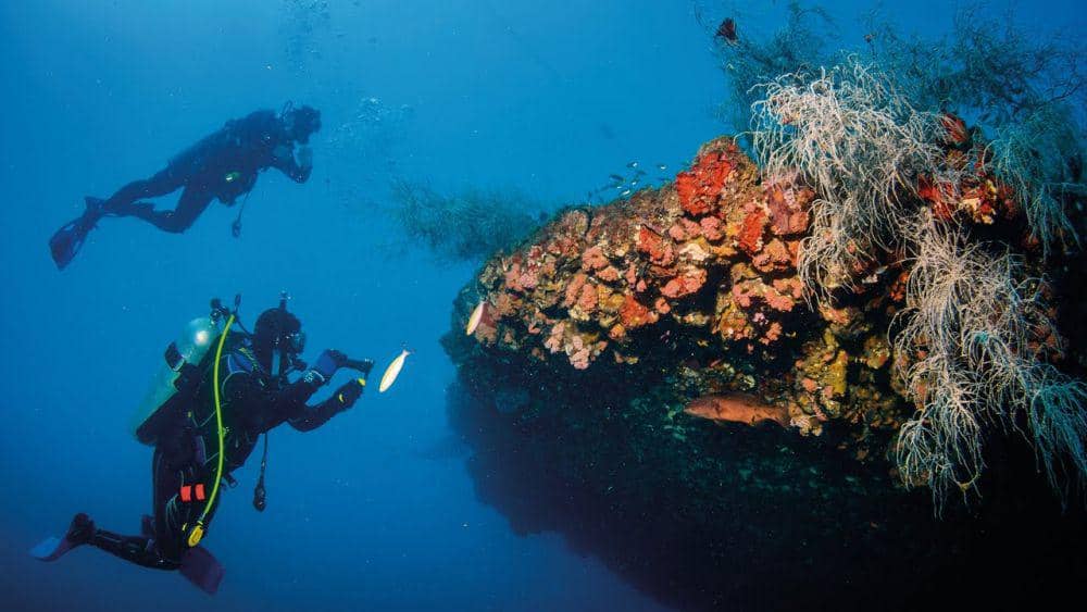 youtube.com/Queensland, Australia