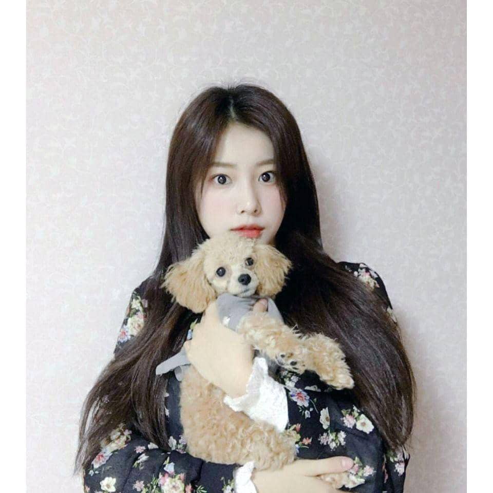 instagram.com/official_izone