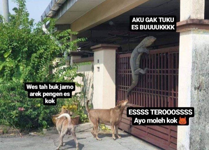 Twitter/setengahapatis