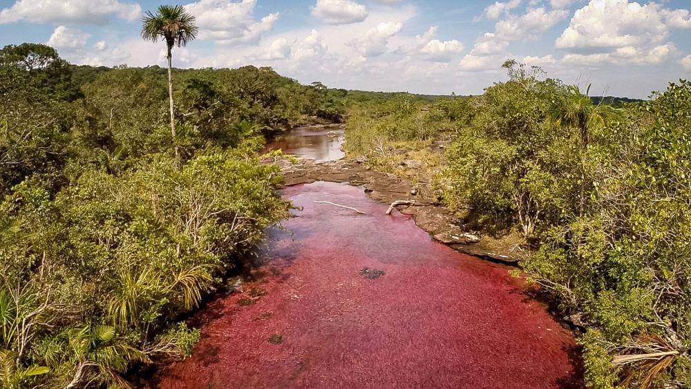 aventurecolombia.com