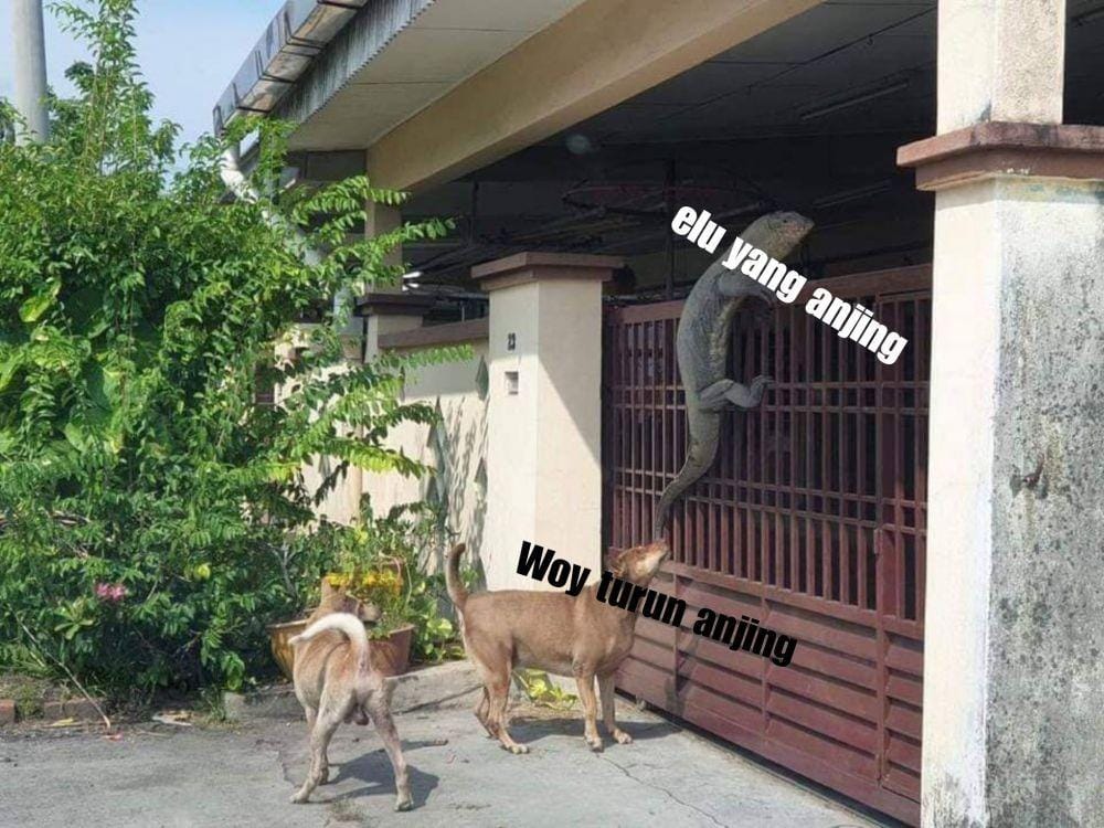 Twitter/peoplequalshit0