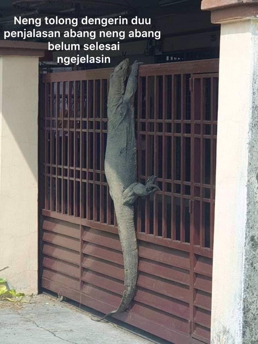 Twitter/anyoengsupit