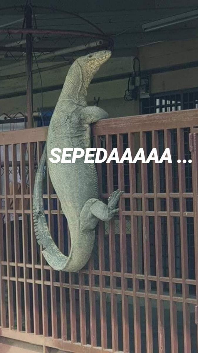 Twitter/KlingkingSemut