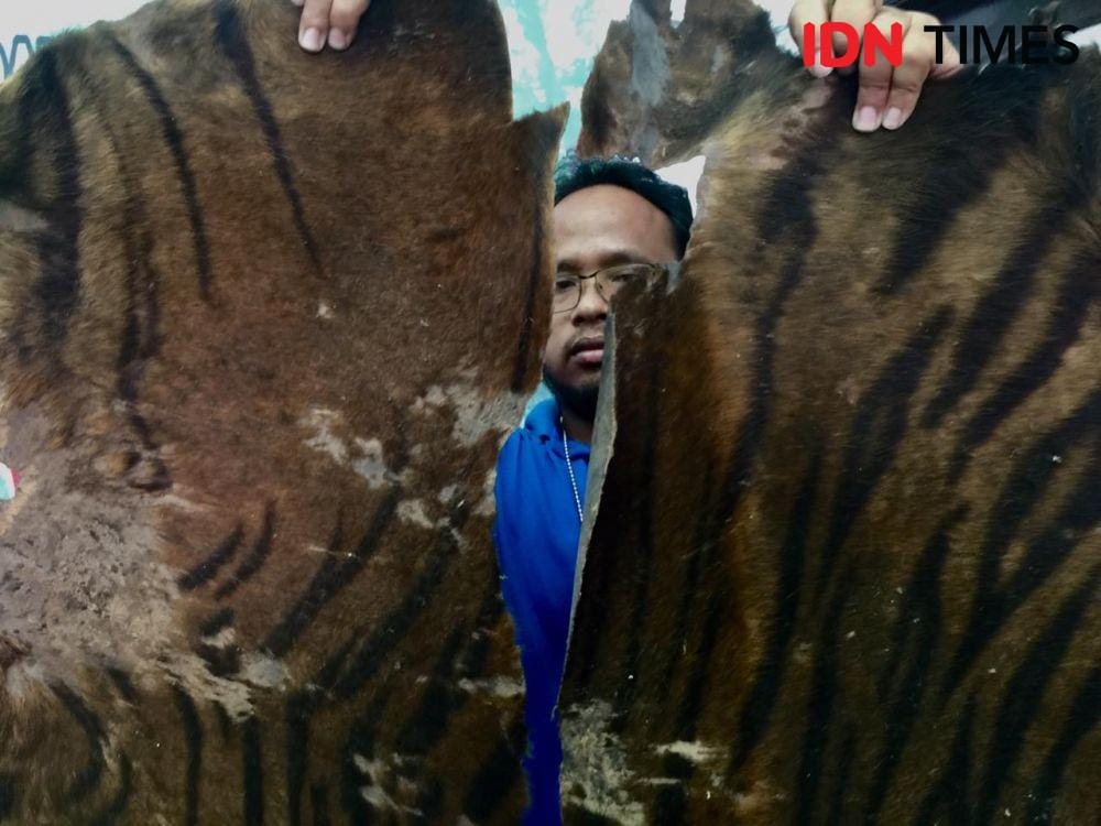 IDN Times/Prayugo Utomo