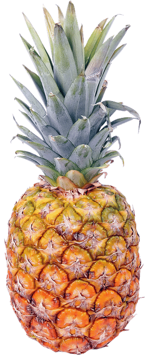 pixabay/Schwarzenarzisse