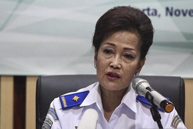 ANTARA FOTO/Hafidz Mubarak A