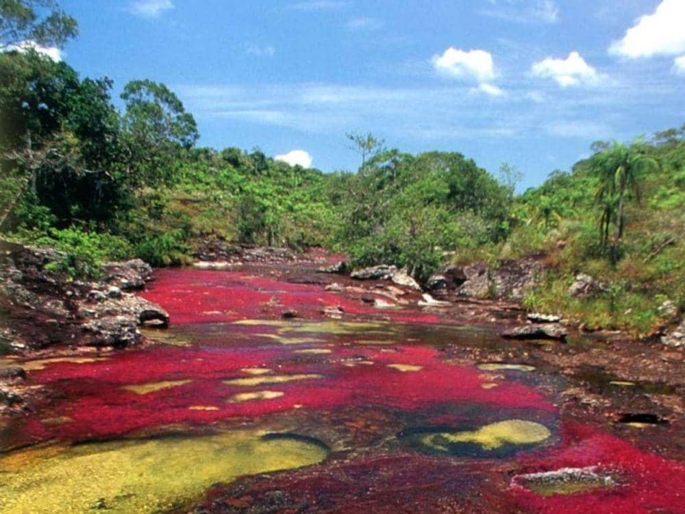 bestworldtourism.com