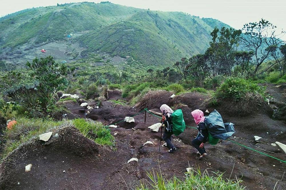 instagram.com/dellasafira4377