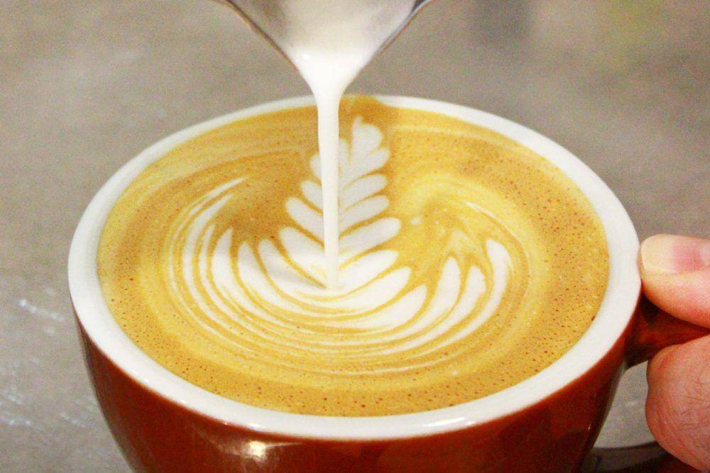 academiedecafedemontreal.com
