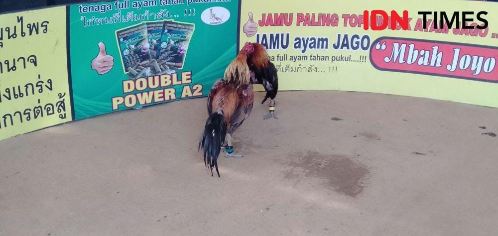 IDN Times/Daruwaskita