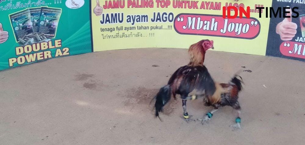 IDN Times/Daruwaskita