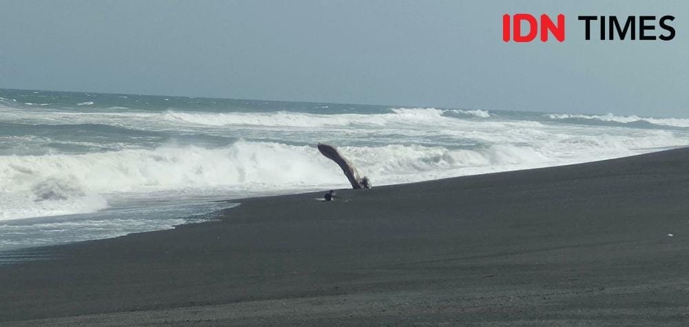 IDN Times/Daruwaskita