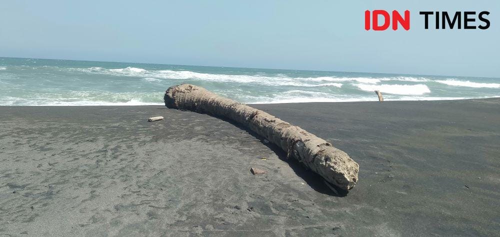 IDN Times/Daruwaskita