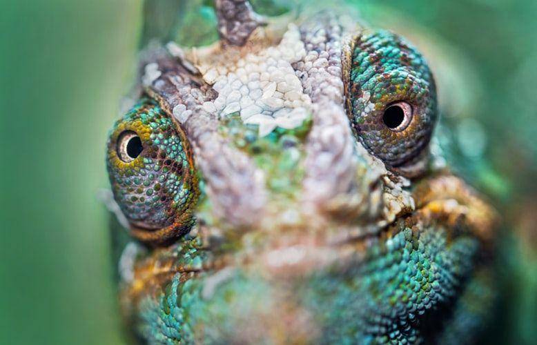 unsplash/David Clode
