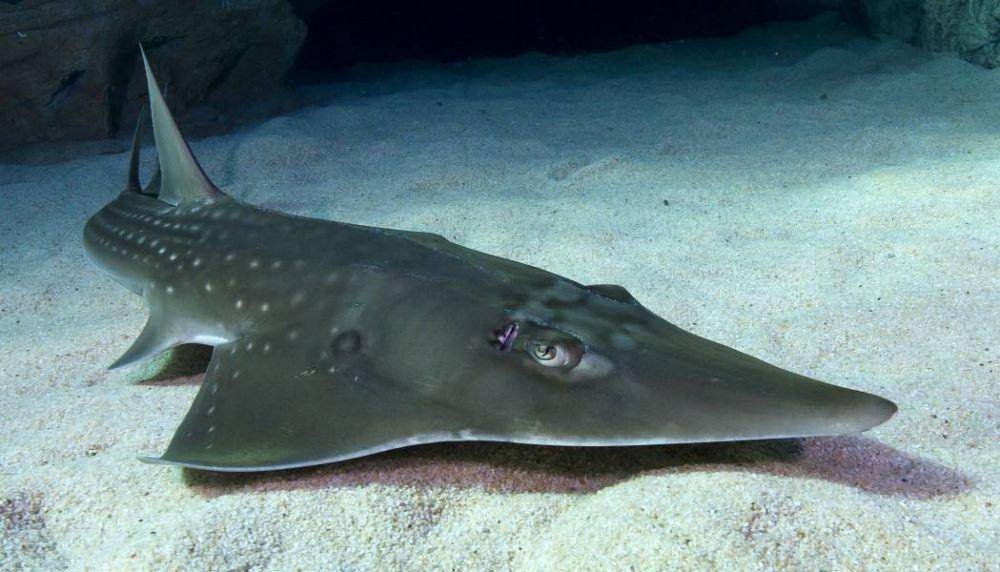 aquarium.co.za