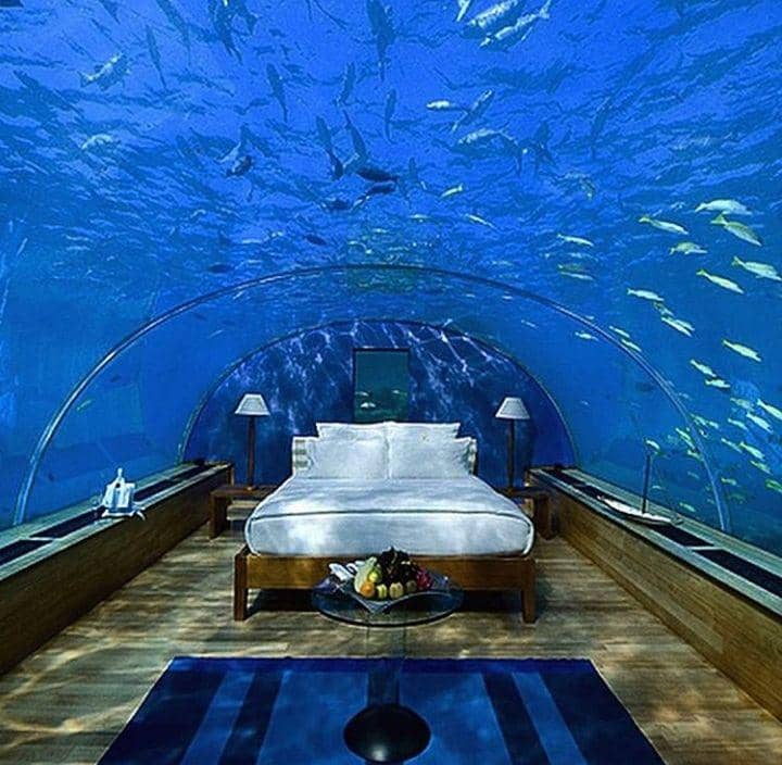 Instagram.com/eagle.travel